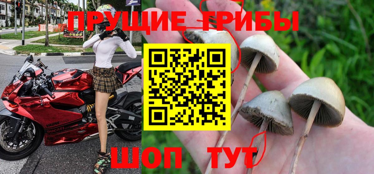 Псилоцибиновые грибы Magic Shrooms Димитровград