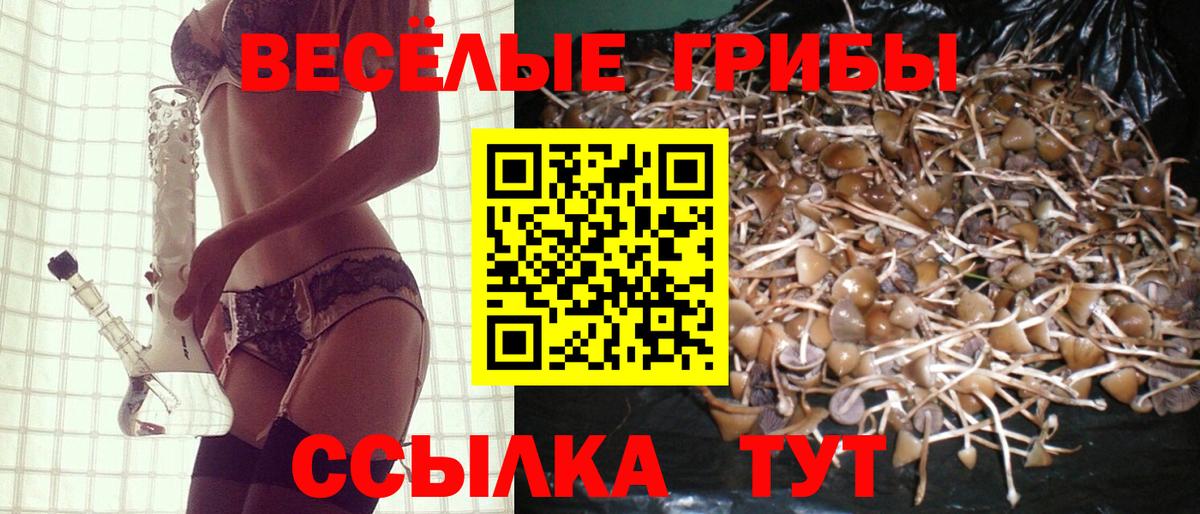 Галлюциногенные грибы Cubensis  наркота  Димитровград  Вход с VPN 